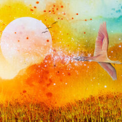 Flight Of Freedom