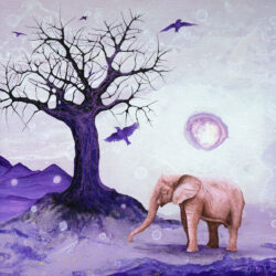 The Elephant In The Room