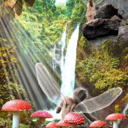 Fairies In The Woods