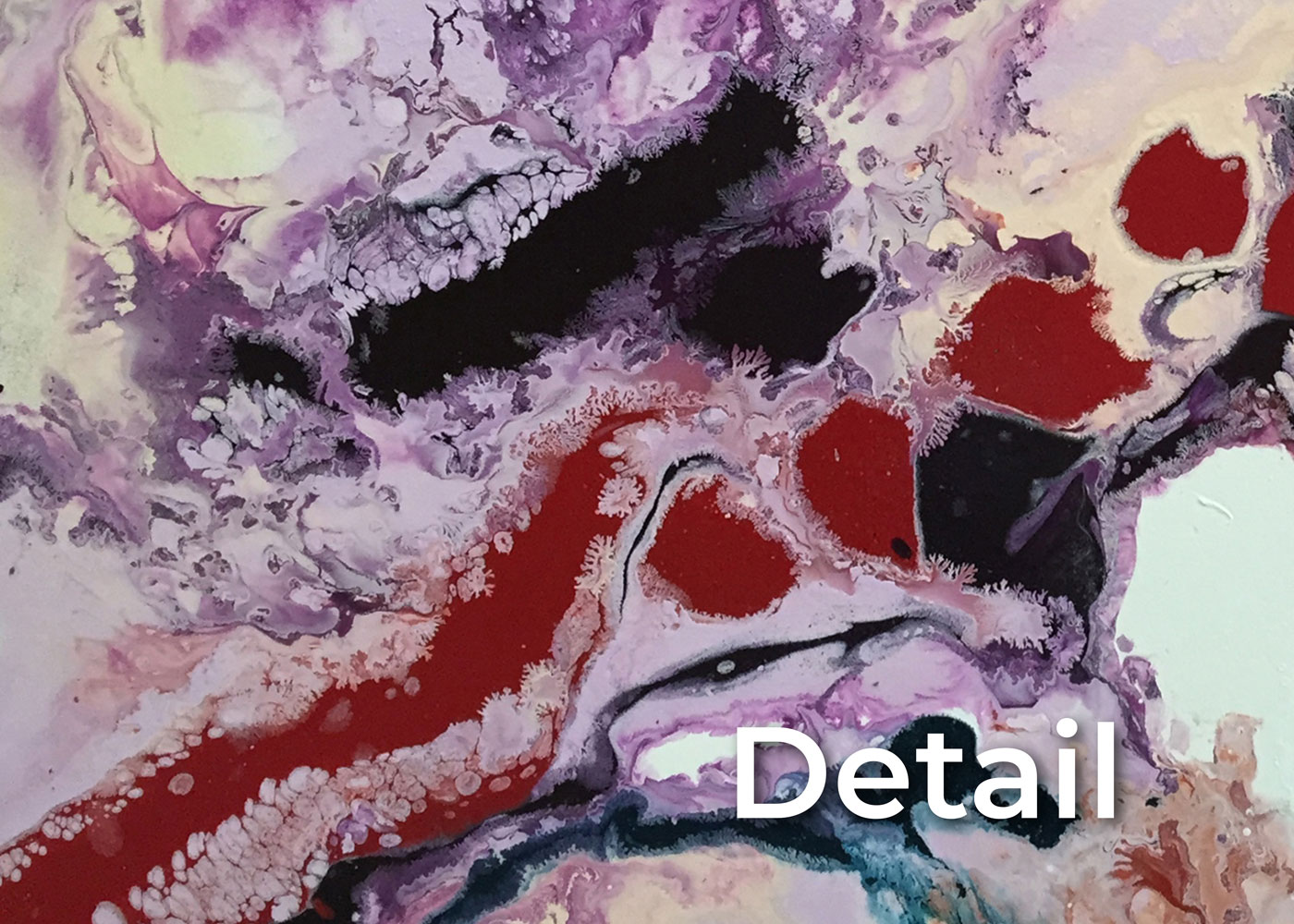 Complex Anemone - Image 3