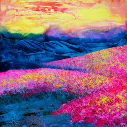 Fields Forever